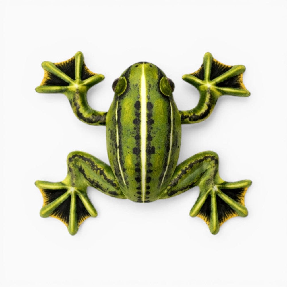 Pluschtierland Realistisches Frosch Kuscheltier Grün Gelb weich Realistisches Frosch Kuscheltier Grün Gelb weich