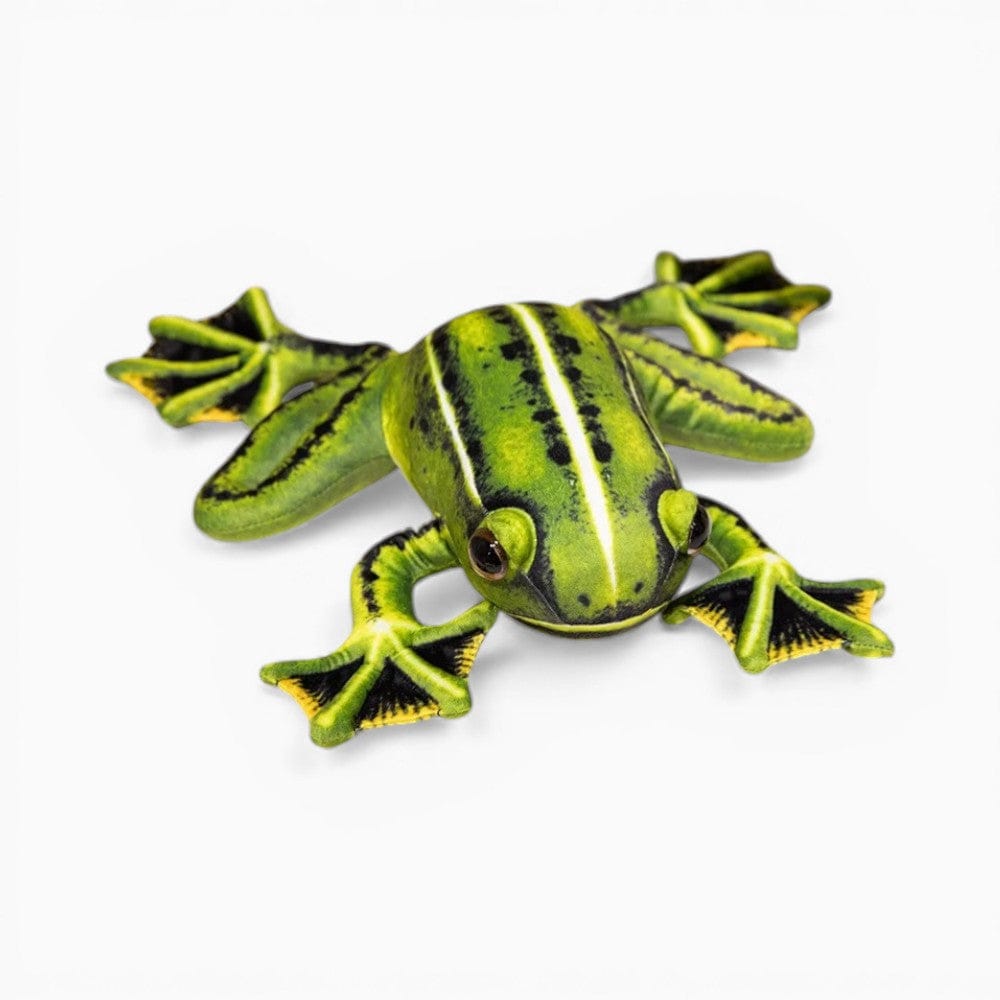 Pluschtierland Realistisches Frosch Kuscheltier Grün Gelb weich Realistisches Frosch Kuscheltier Grün Gelb weich
