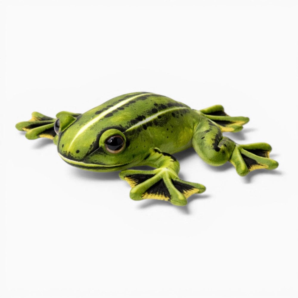 Pluschtierland Realistisches Frosch Kuscheltier Grün Gelb weich Realistisches Frosch Kuscheltier Grün Gelb weich