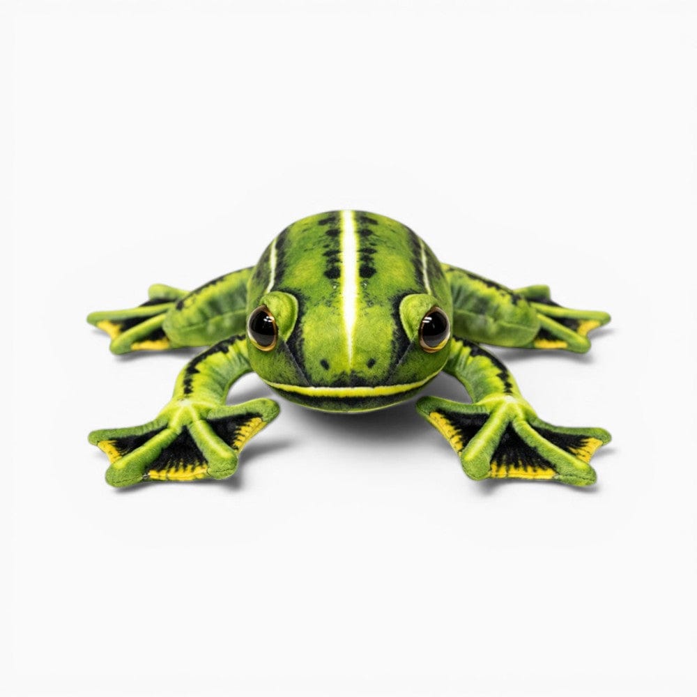 Pluschtierland Realistisches Frosch Kuscheltier Grün Gelb weich Realistisches Frosch Kuscheltier Grün Gelb weich
