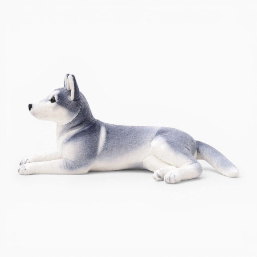 Pluschtierland Realistisches Husky Kuscheltier liegend Realistisches Husky Kuscheltier liegend