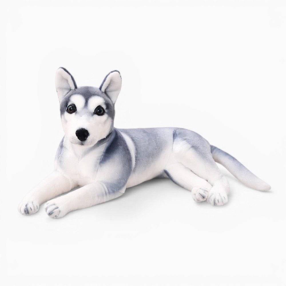 Pluschtierland Realistisches Husky Kuscheltier liegend Realistisches Husky Kuscheltier liegend