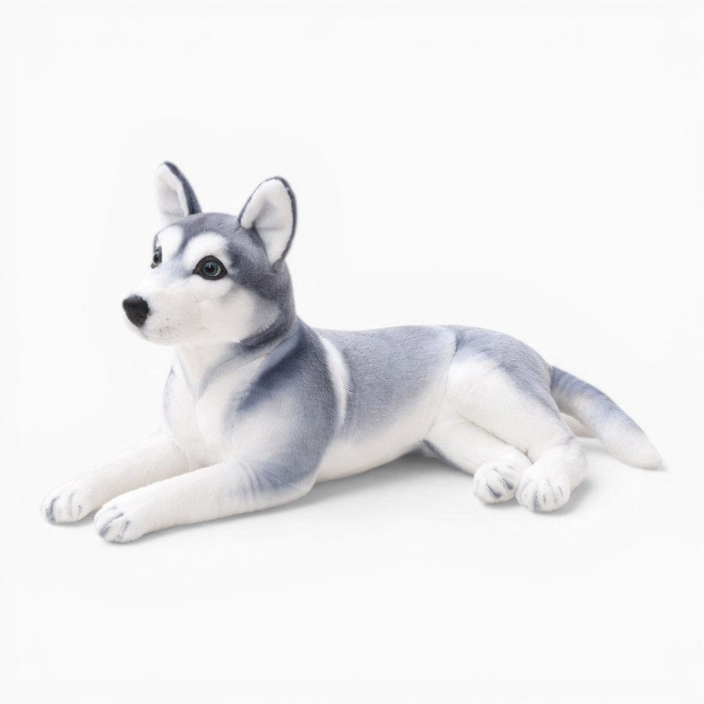 Pluschtierland Realistisches Husky Kuscheltier liegend Realistisches Husky Kuscheltier liegend
