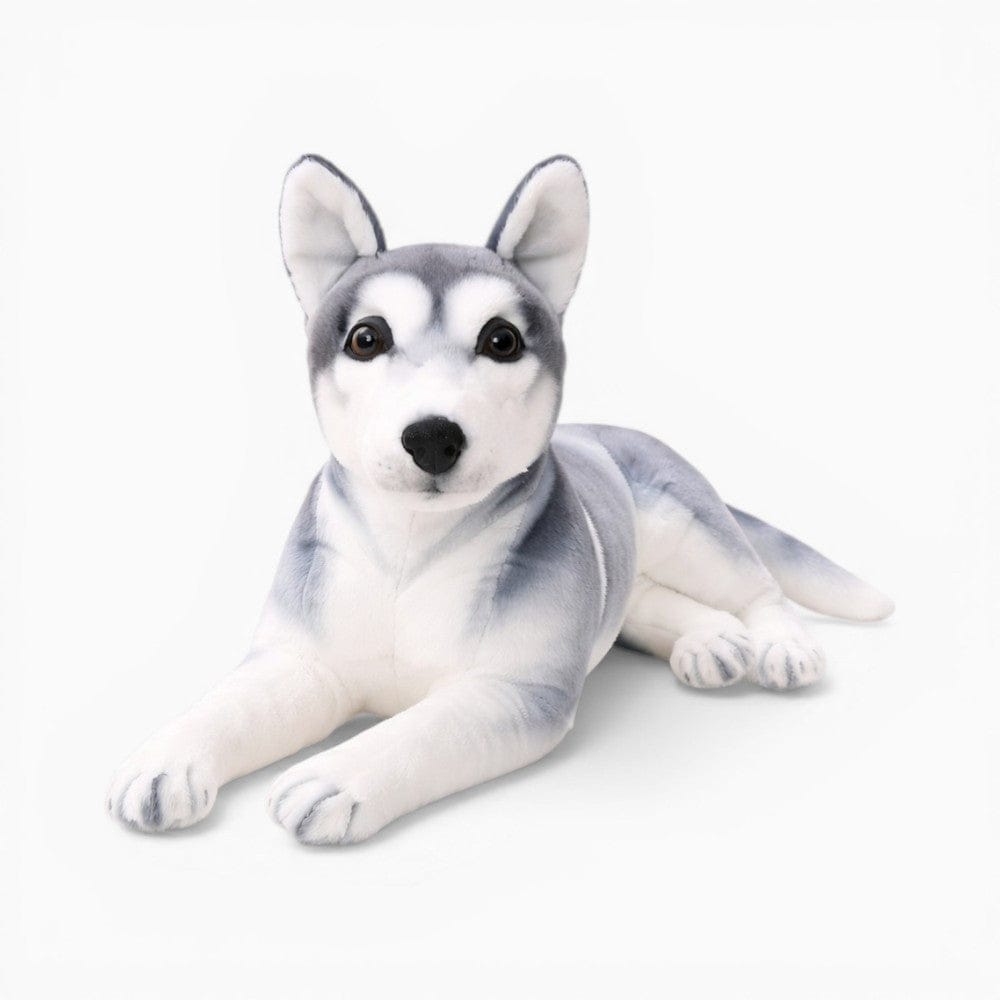 Pluschtierland Realistisches Husky Kuscheltier liegend Realistisches Husky Kuscheltier liegend
