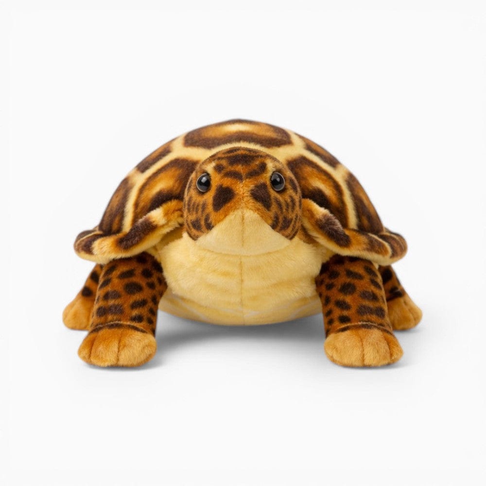 Pluschtierland Schildkröte Kuscheltier realistische Meeresschildkröte Schildkröte Kuscheltier realistische Meeresschildkröte
