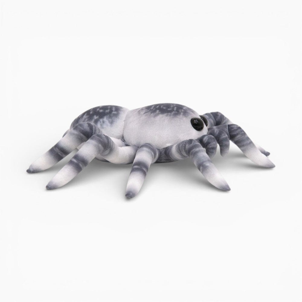 Pluschtierland Spinne Kuscheltier buntes Plüschtier weiche Dekoration Spinne Kuscheltier buntes Plüschtier weiche Dekoration