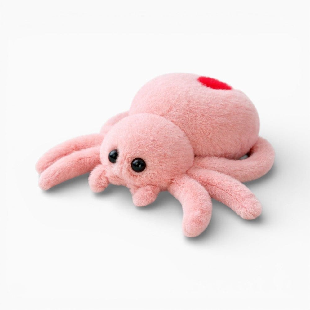 Pluschtierland Spinne Kuscheltier realistische Plüschspinne Halloween Spinne Kuscheltier realistische Plüschspinne Halloween